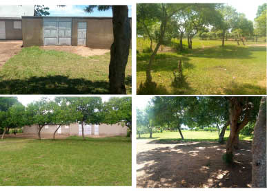 Proposed office Building